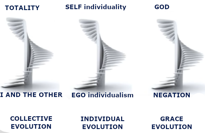 primordial fields