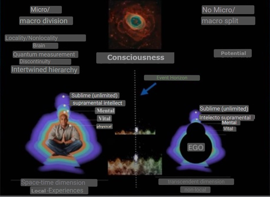 Formation of different bodies